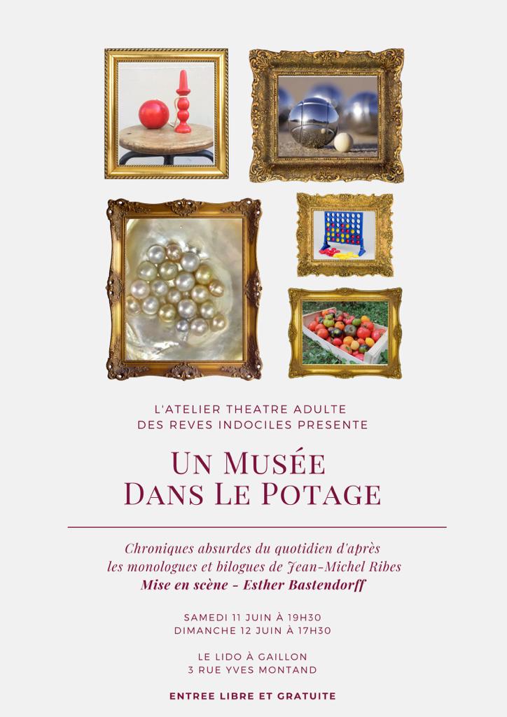 Un musée dans le potage, textes de Jean-Michel Ribes (Couverture)